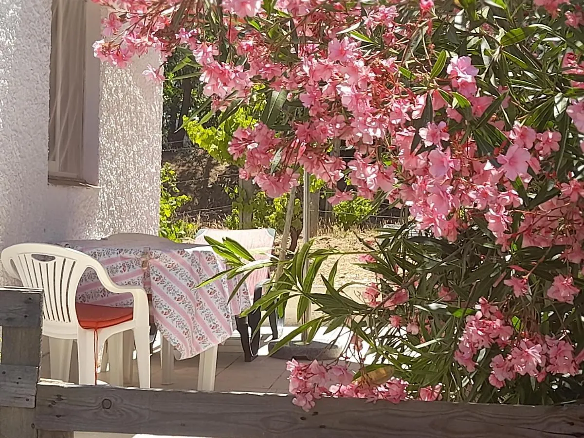 Nature Houses Holiday home Lagos