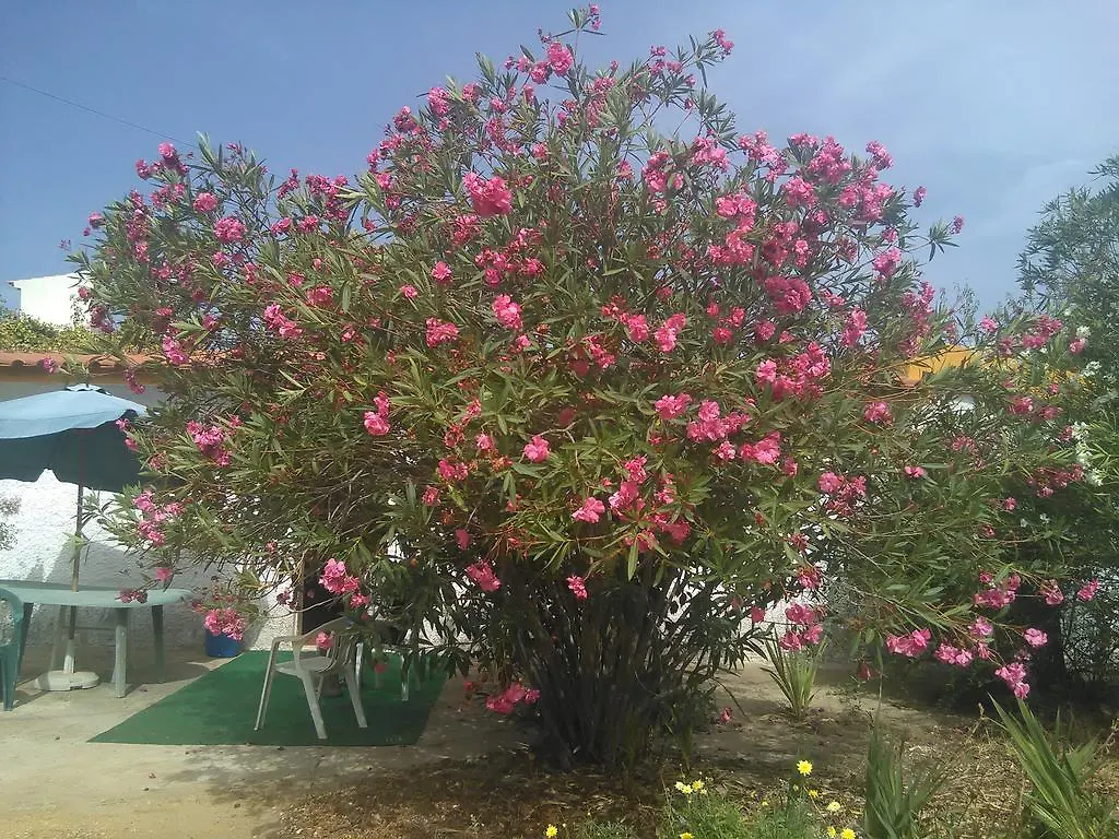Nature Houses Holiday home Lagos