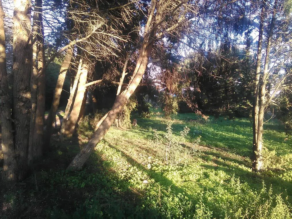 Nature Houses Holiday home Lagos 0*,  Portugal
