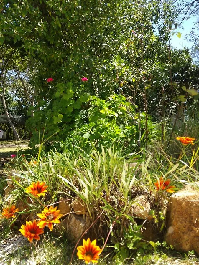Nature Houses Holiday home Lagos