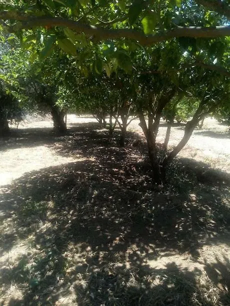 Nature Houses Holiday home Lagos